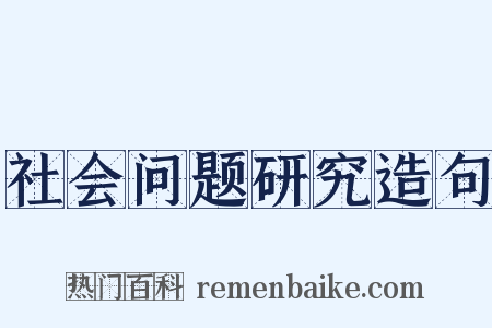 社会问题研究造句是什么意思的图片